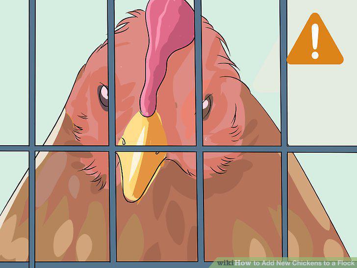 Step 8