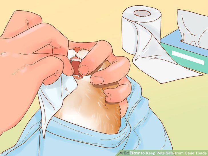 Step 7