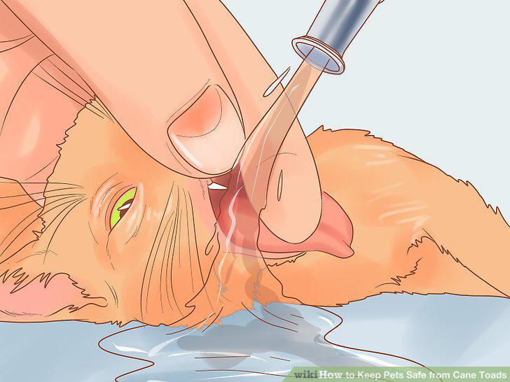 Step 8