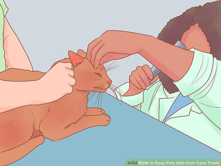 Step 9