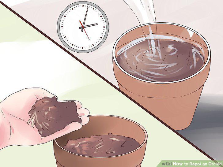 Step 5