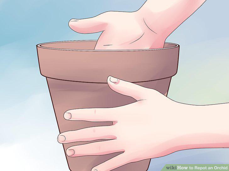 Step 10