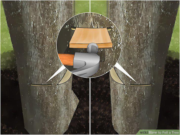 Step 11