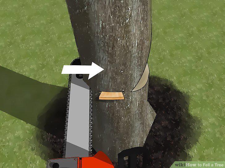 Step 12