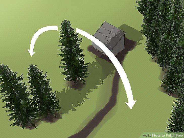 Step 5