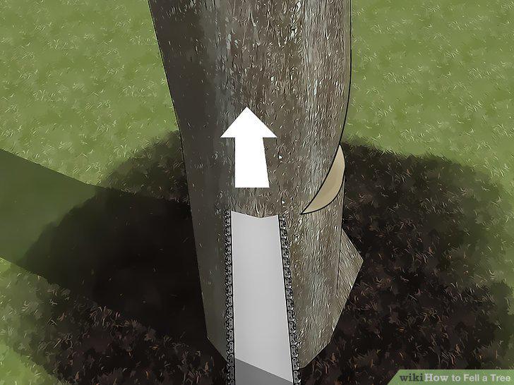 Step 10