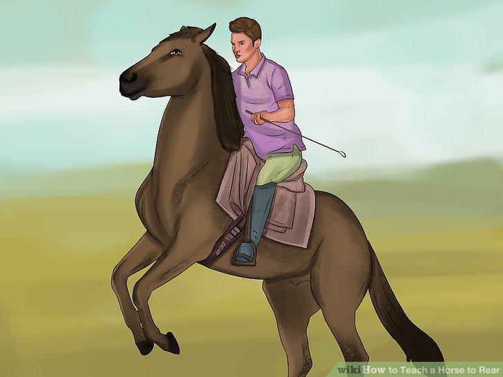 Step 9