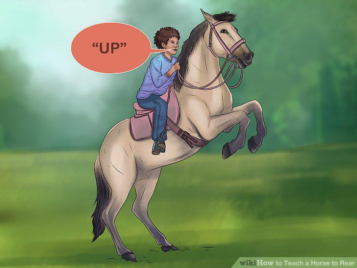 Step 10