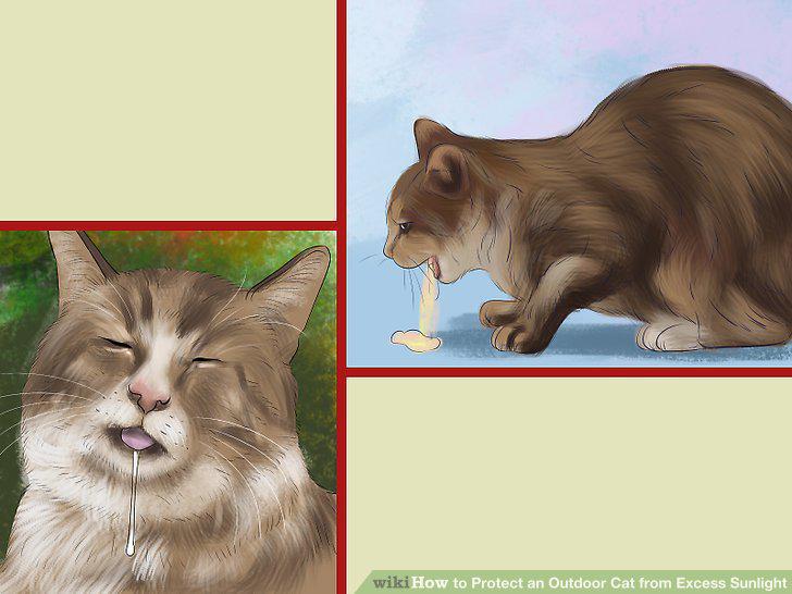 Step 11