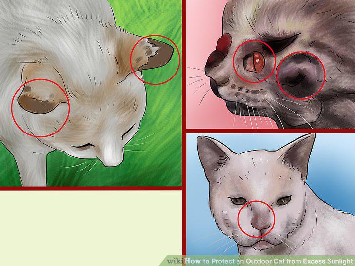 Step 3