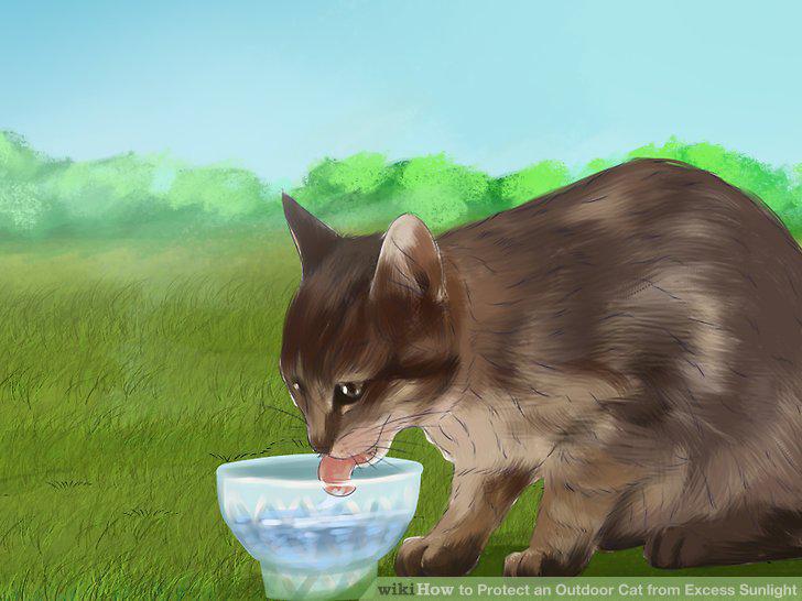 Step 10
