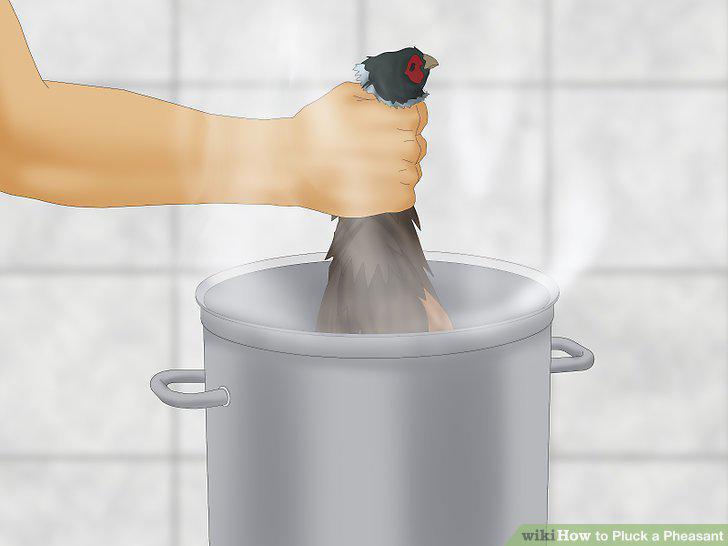 Step 11
