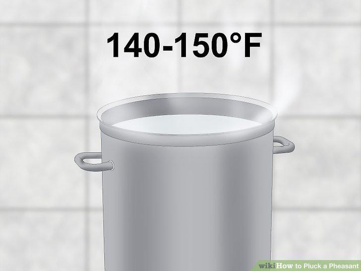 Step 12