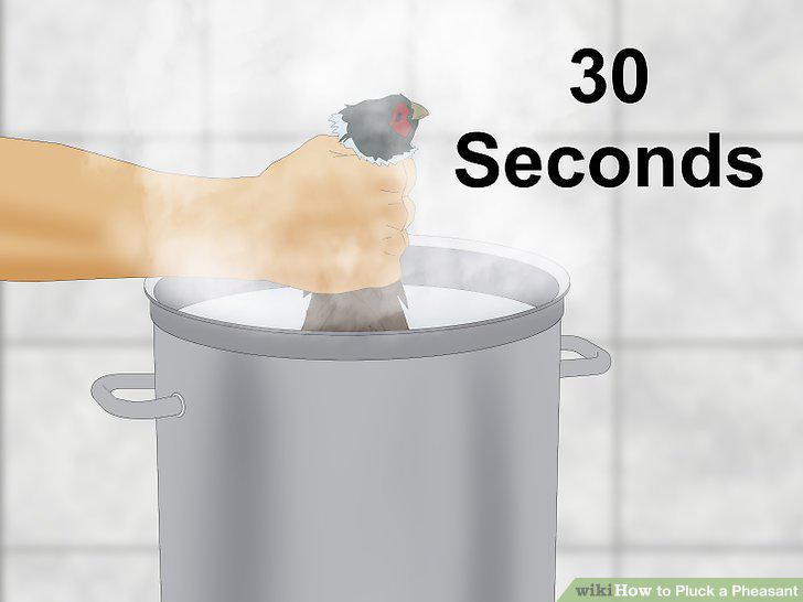 Step 13