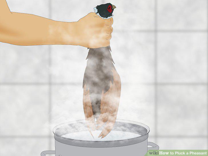Step 14