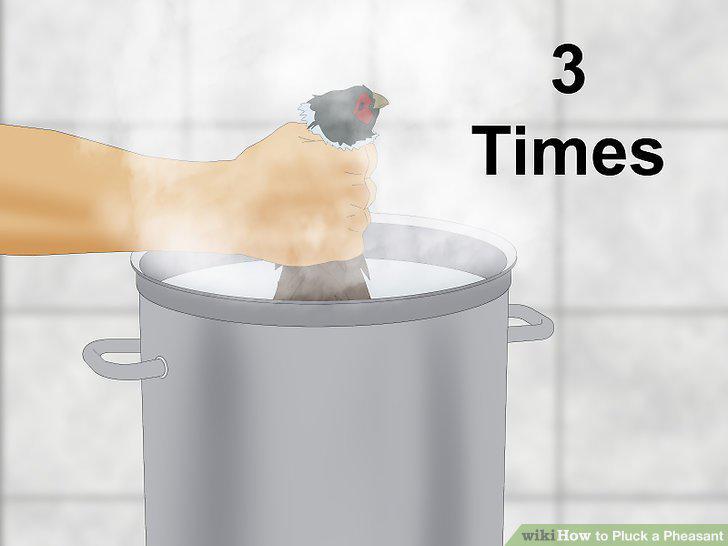 Step 15