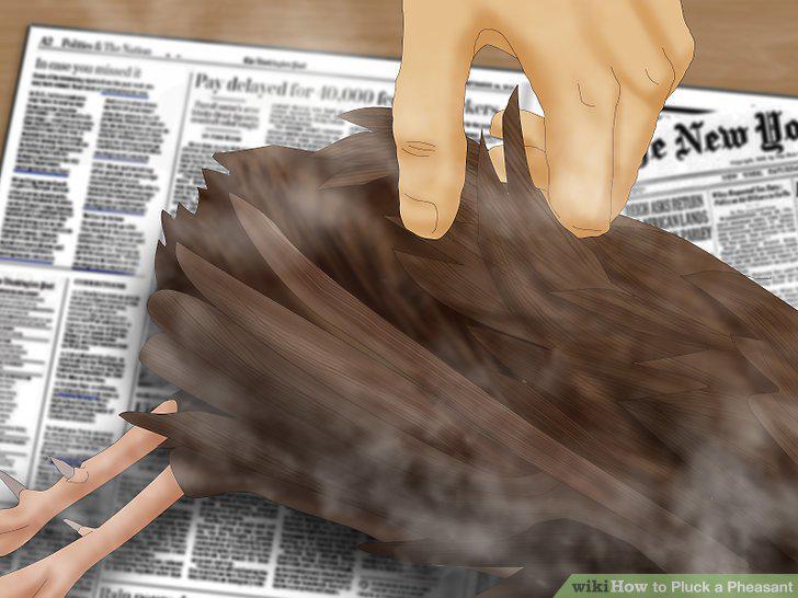 Step 16