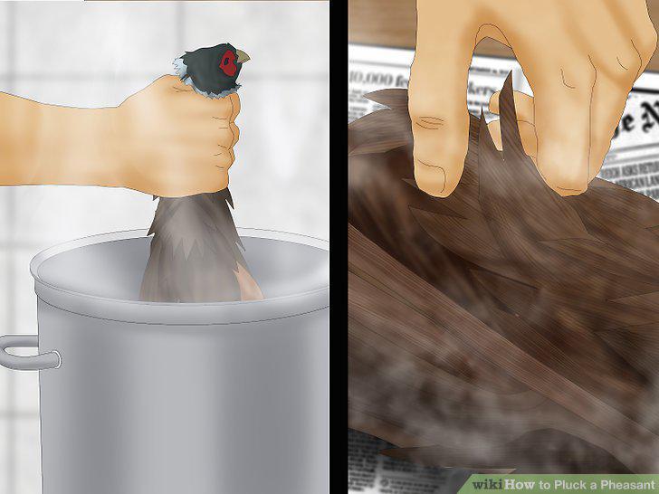 Step 17