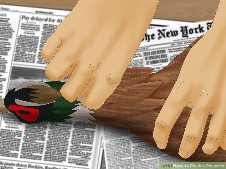 Step 8
