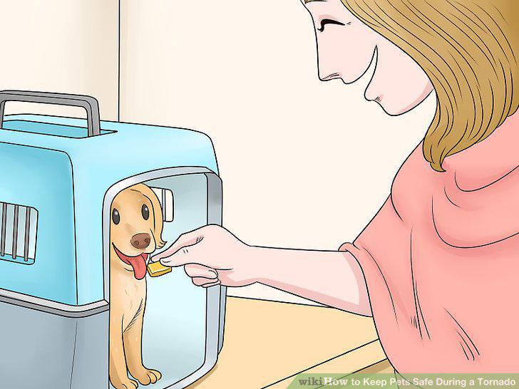 Step 11
