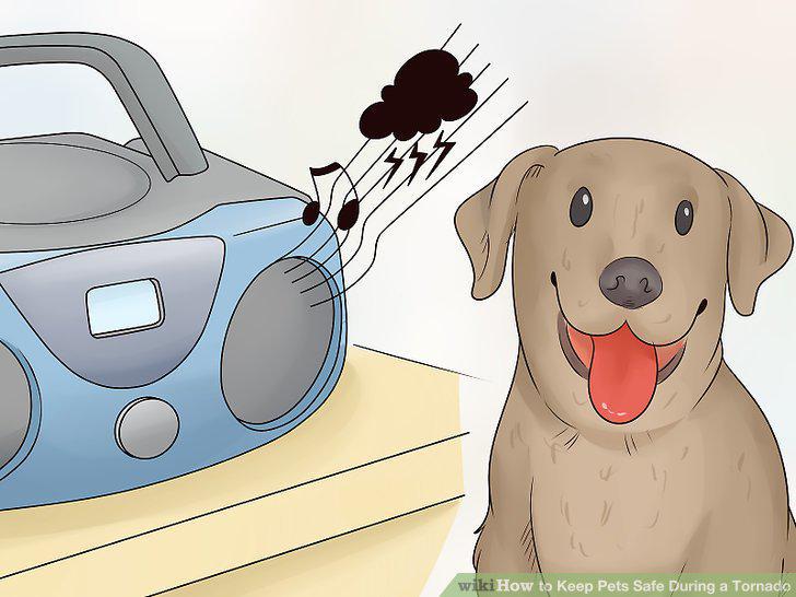 Step 13