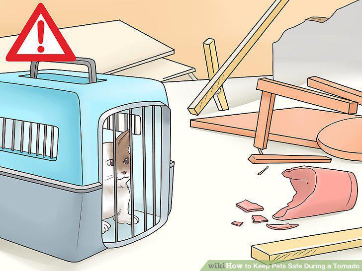 Step 10
