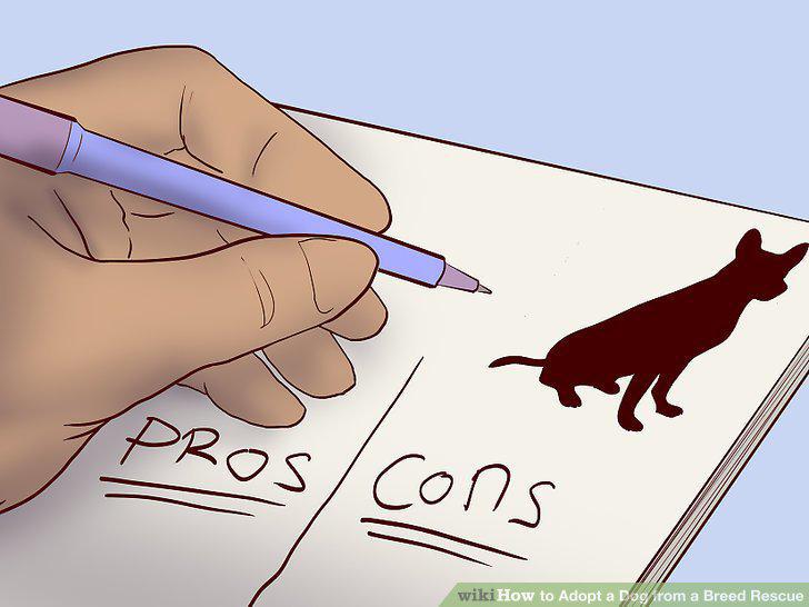 Step 5