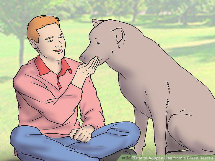 Step 10