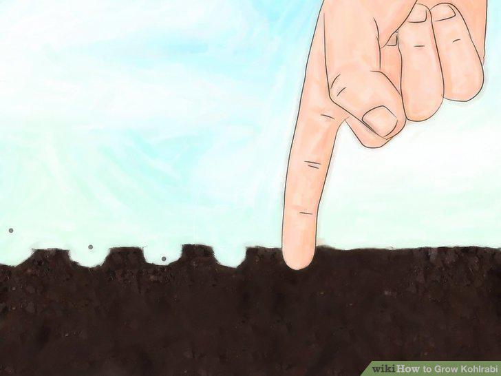 Step 5