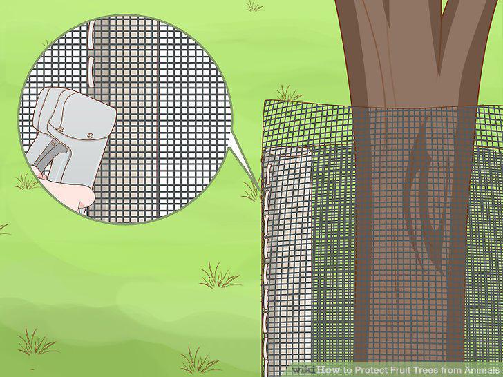 Step 15