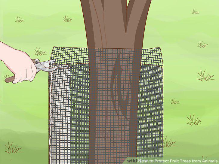 Step 16