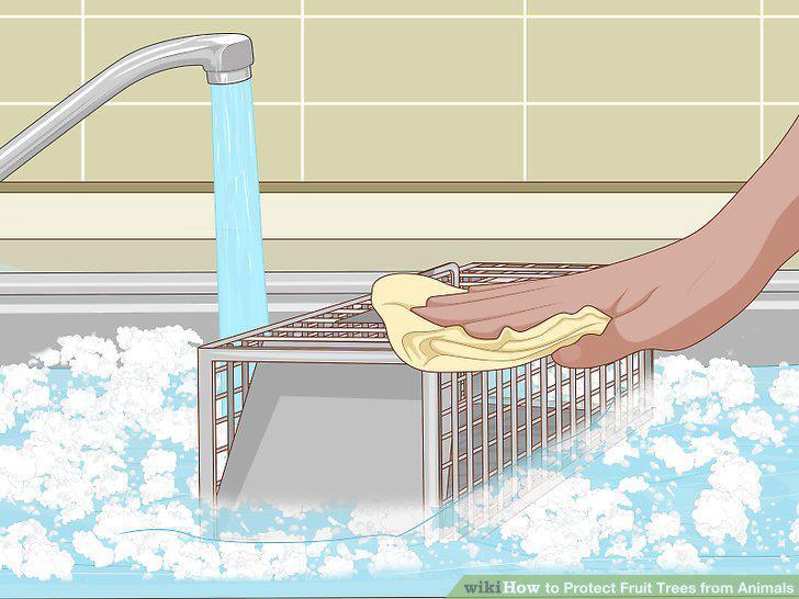 Step 7