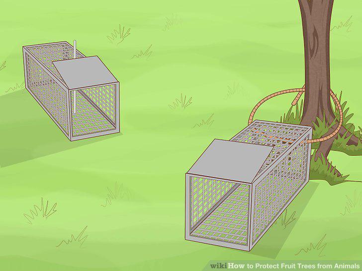 Step 10