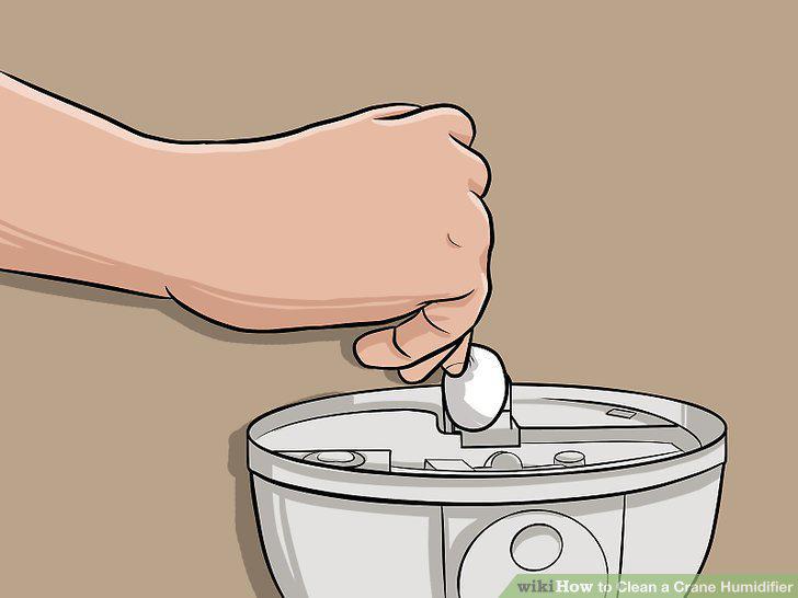 Step 12