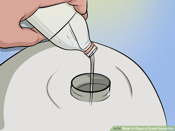 Step 6