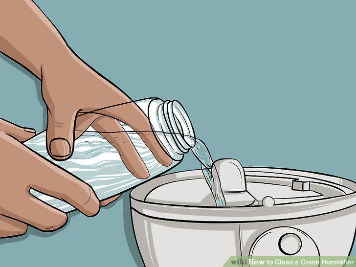 Step 10