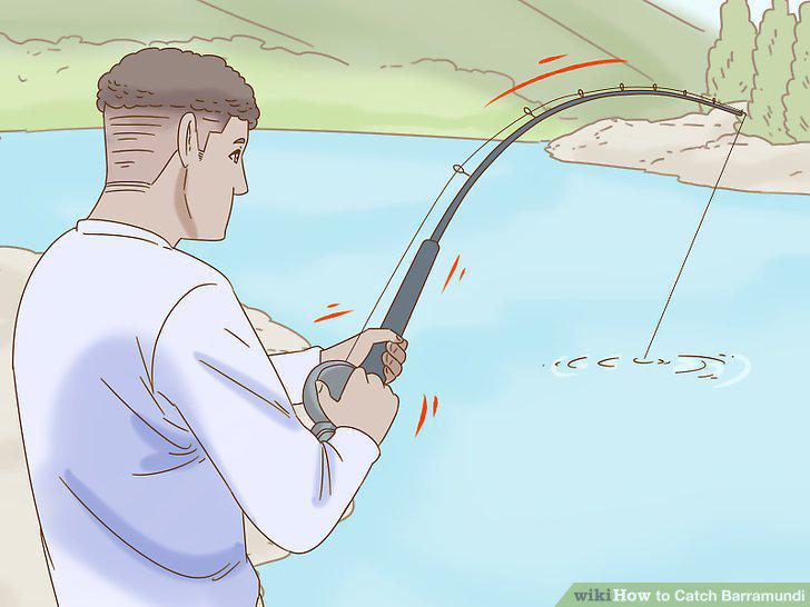 Step 11