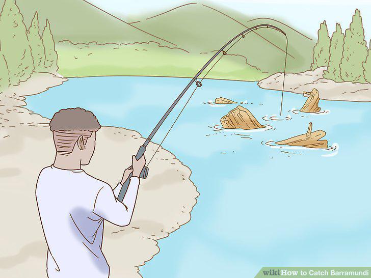 Step 12