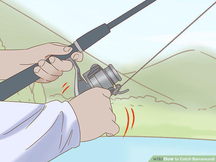 Step 10