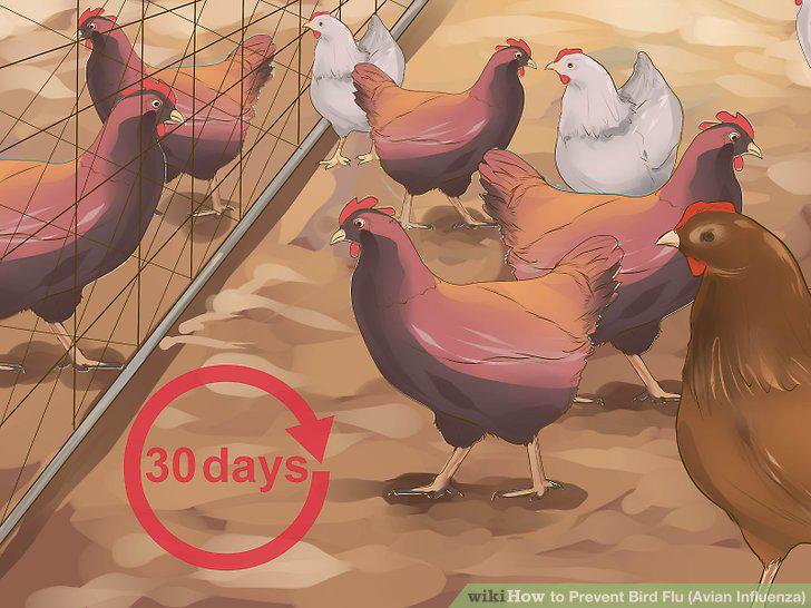 Step 13