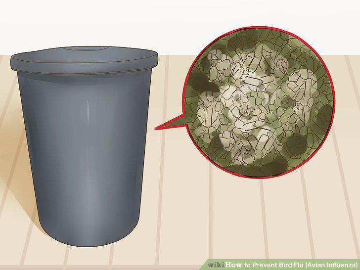 Step 14