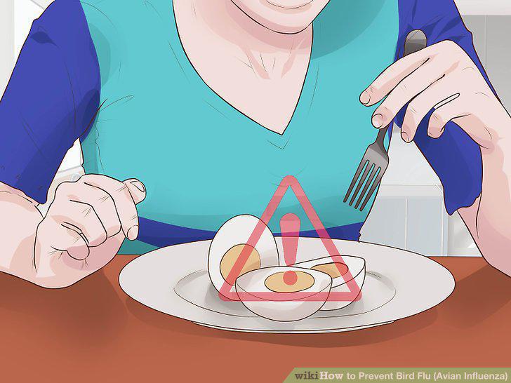 Step 16