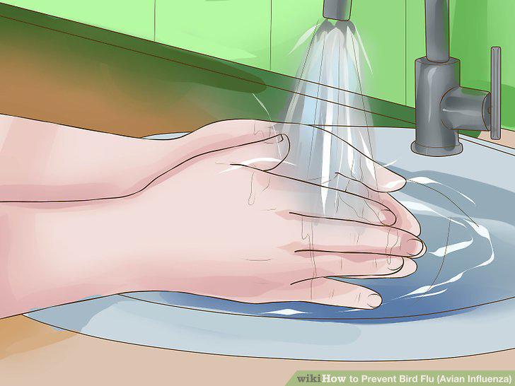 Step 17