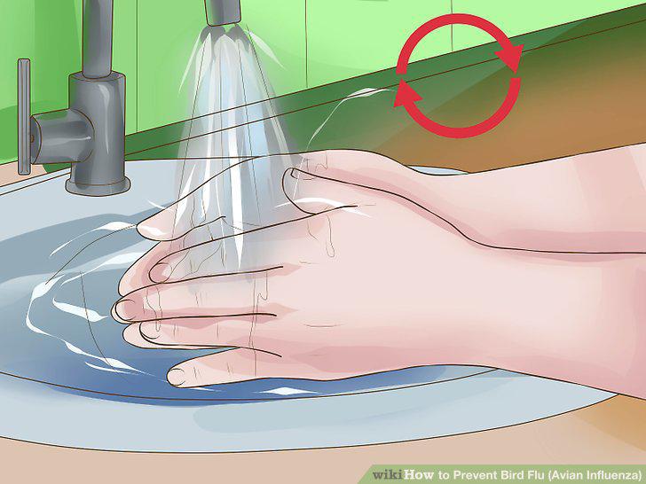 Step 9