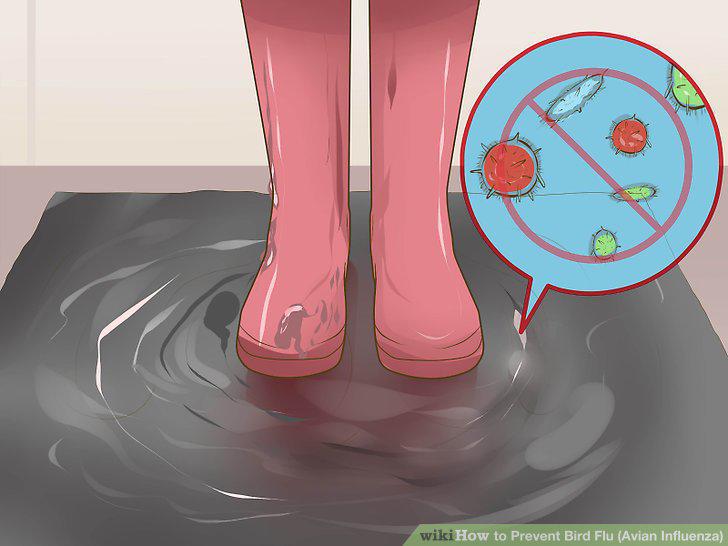Step 10