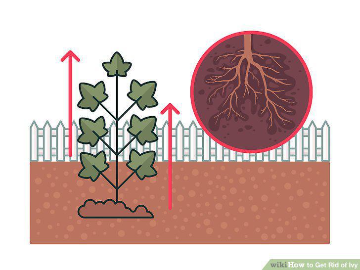 Step 11