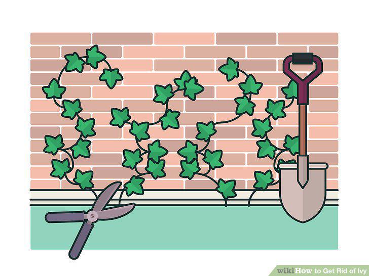 Step 12