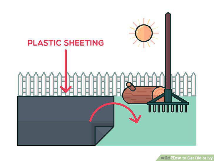 Step 6
