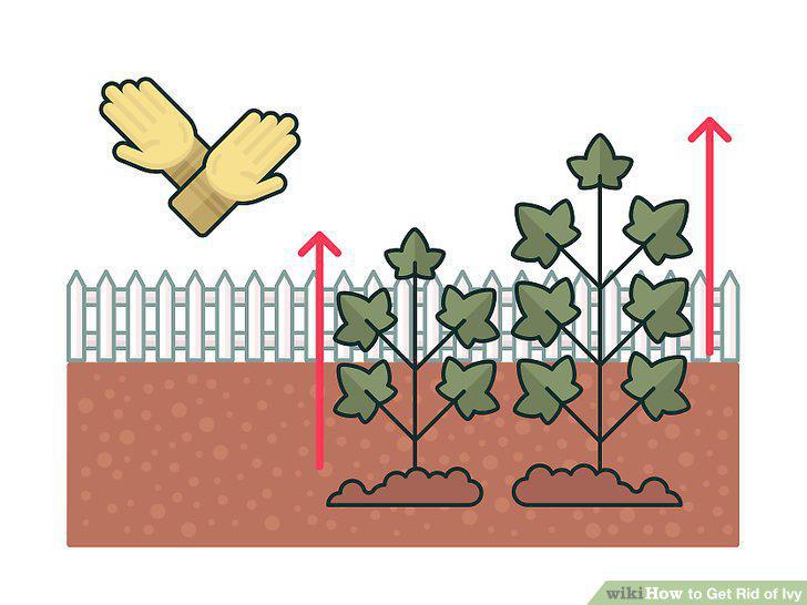 Step 10