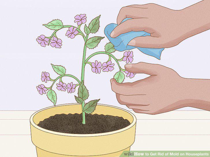 Step 13
